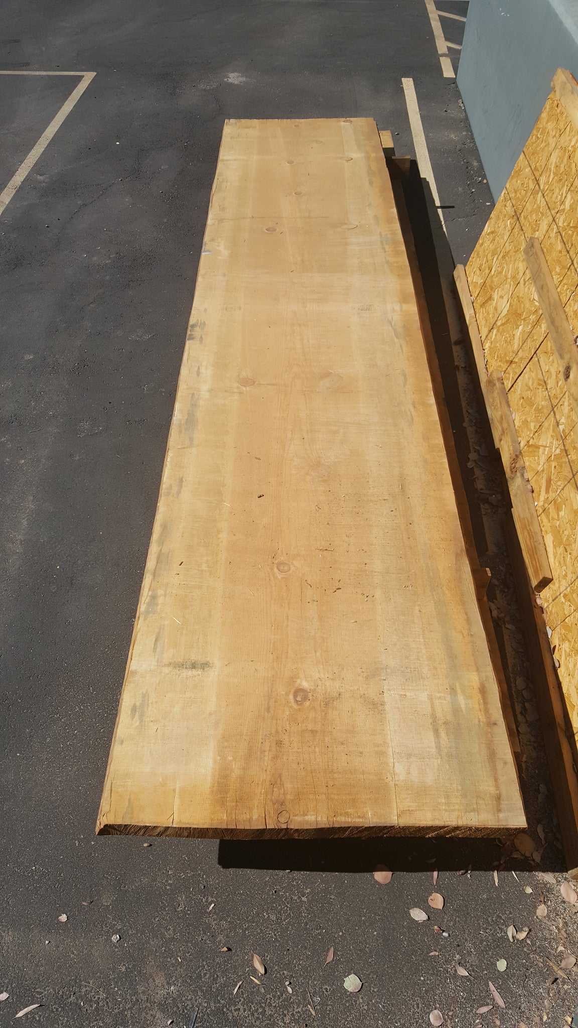 Live Edge Ponderosa Slab