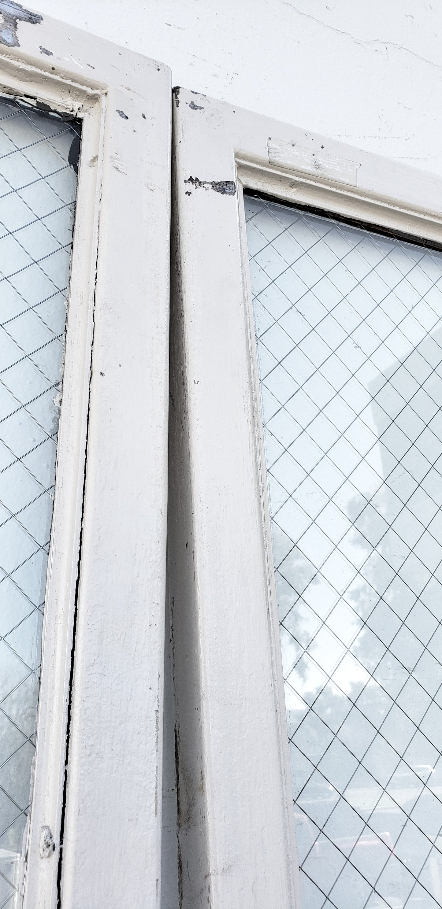 Pair of White Metal Chickenwire Glass Doors