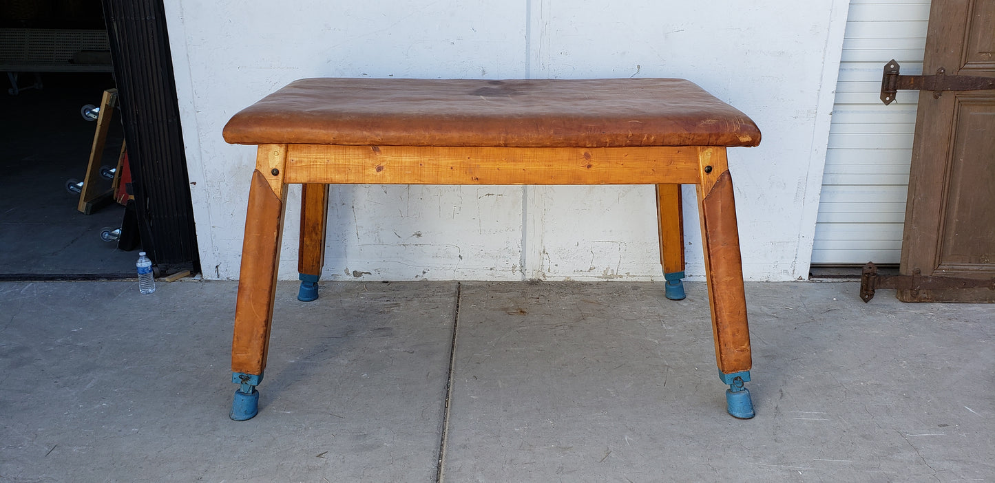 Leather Gymnastics Table