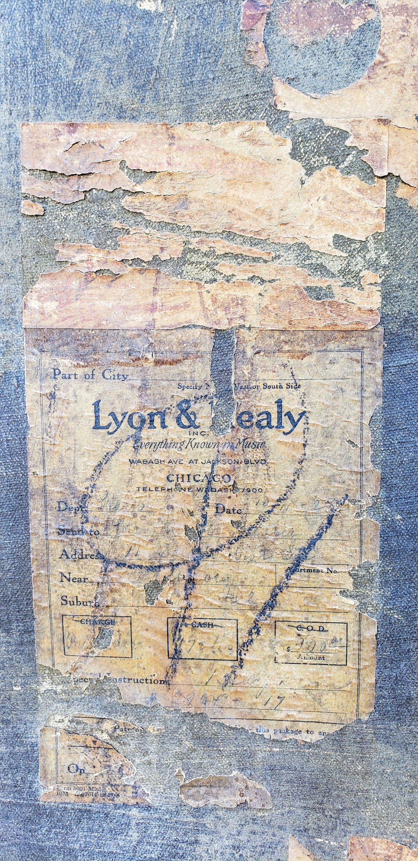 Lyon Healy Harp Trunk