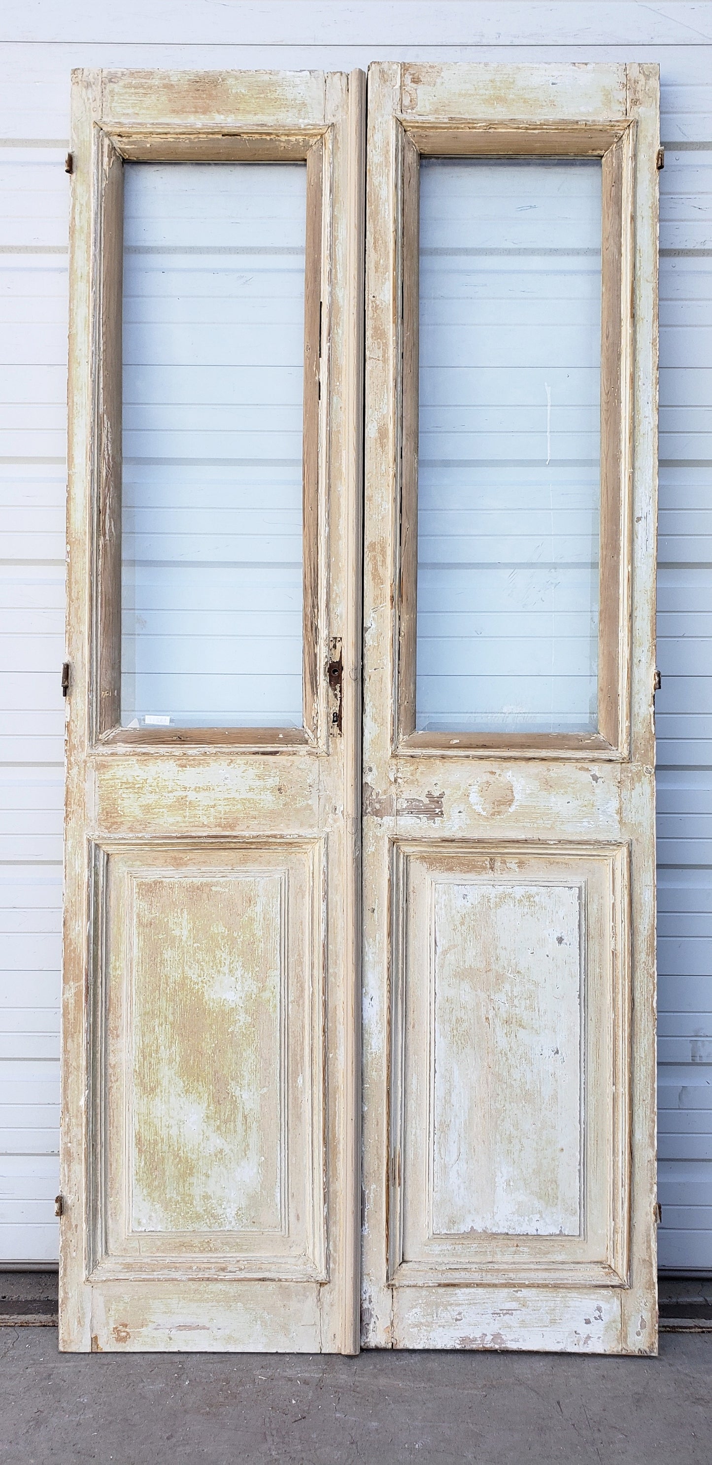 Pair of Washed Wood Single Lite Carved Antique Doors