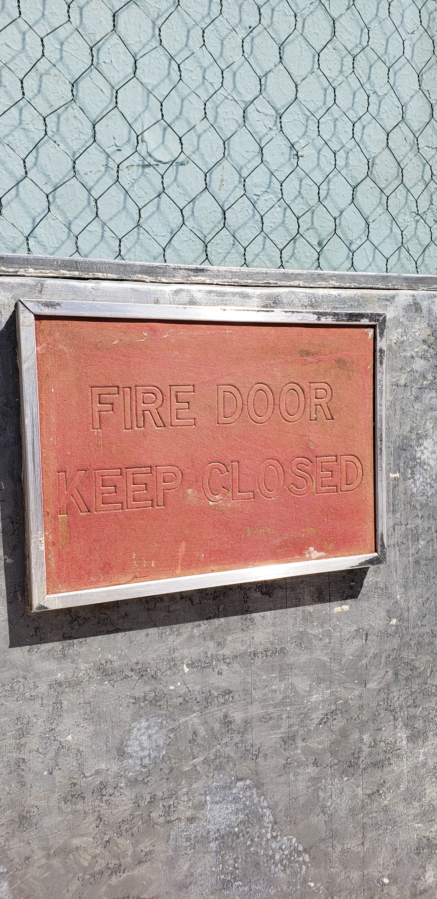 Single Lite Single Stripped Steel Metal Door with Chicken Wire Glass