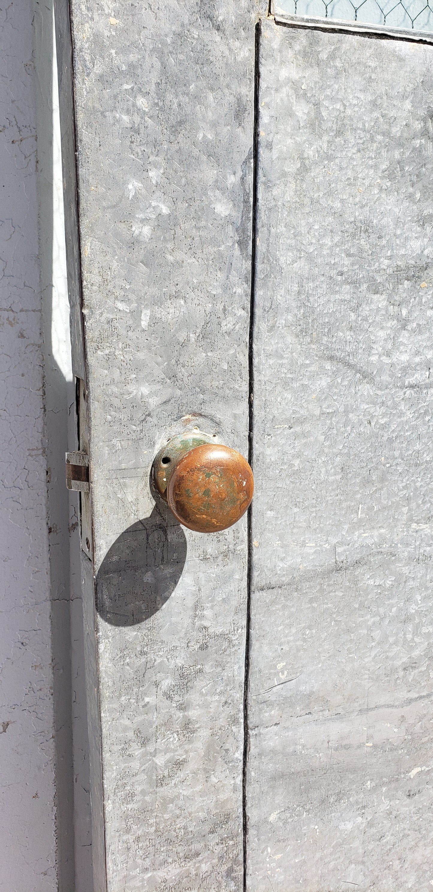 Single Lite Single Stripped Steel Metal Door with Chicken Wire Glass