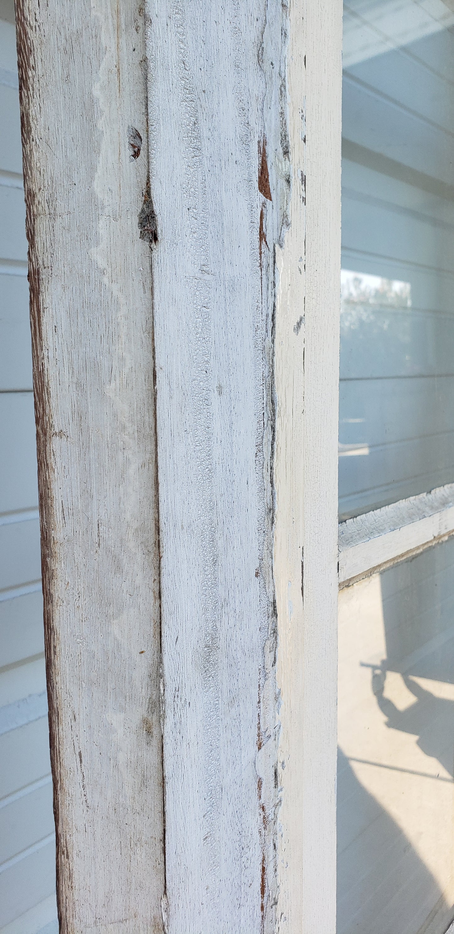 Pair of 14 Lite White French Antique Doors