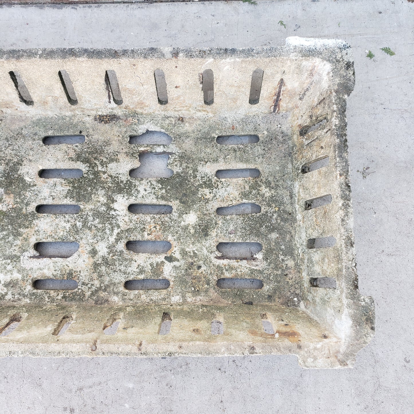 Stone Tray Planter