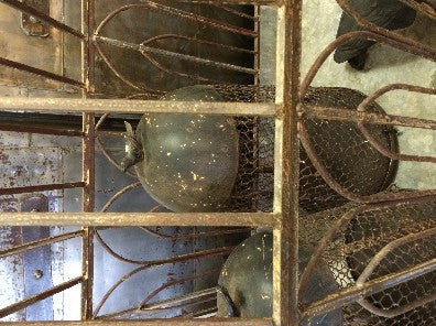 Large Birdcage with Bird Finial