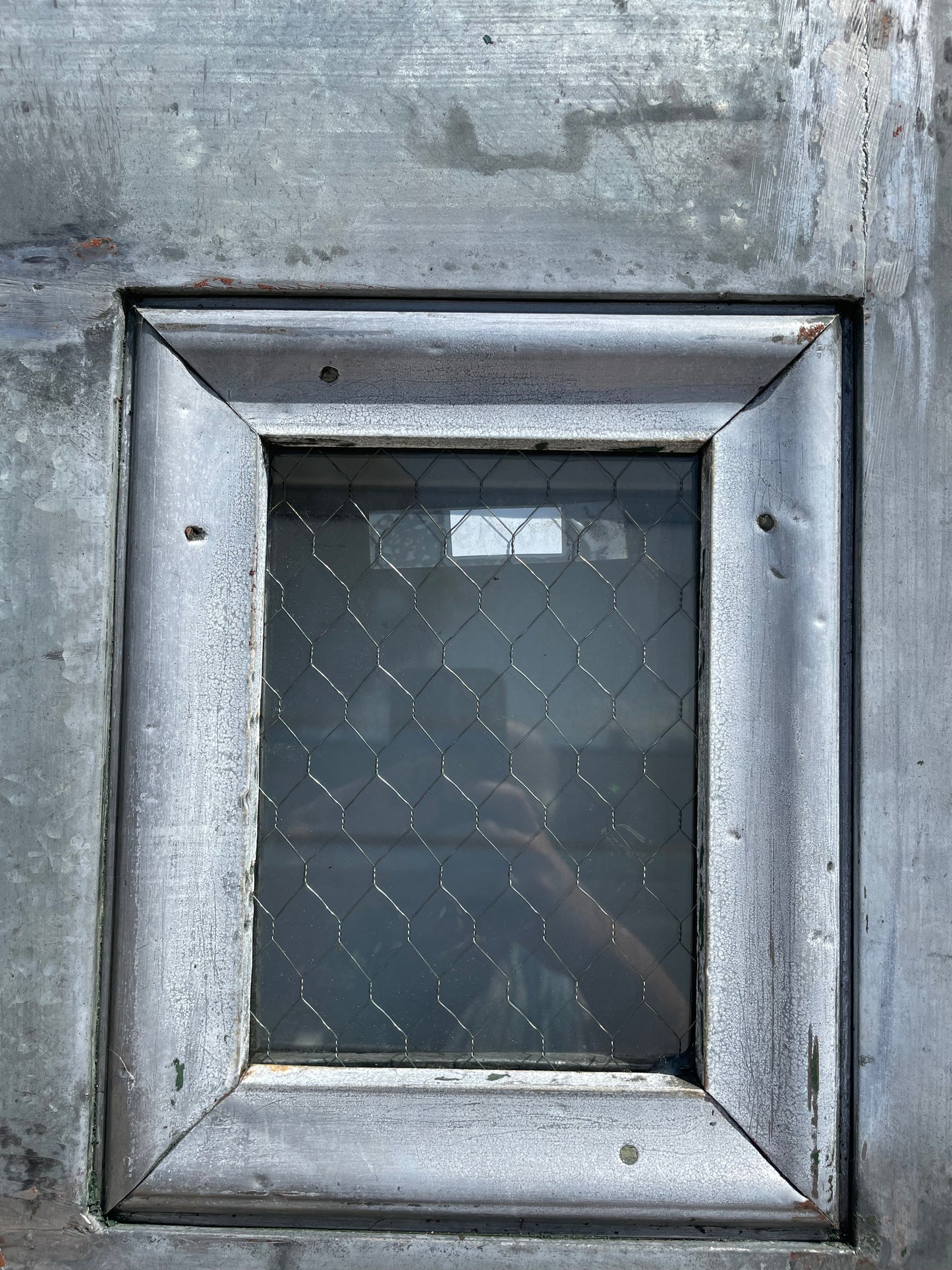 4 Panel 2 Lite Chickenwire Glass Single Metal Fire Door