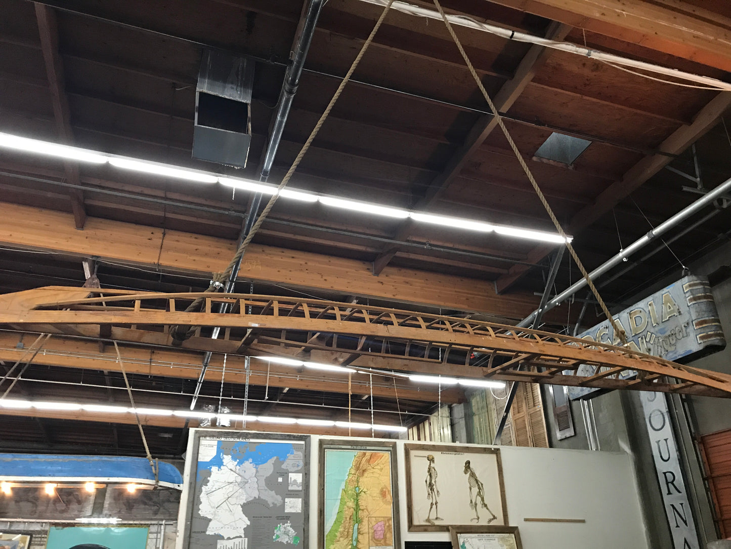 Repurposed Kayak Frame Pendant Light