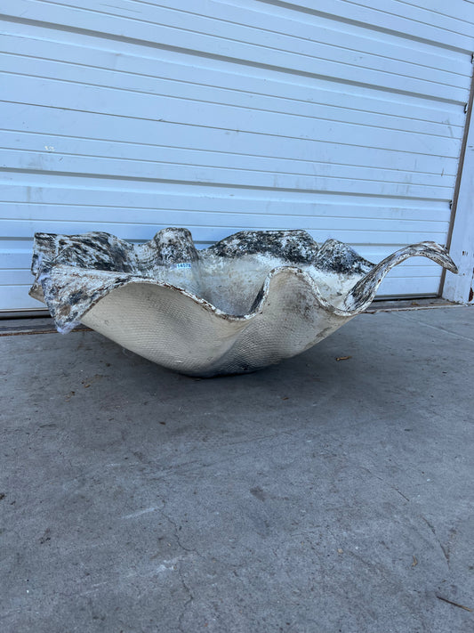 Large Willy Guhl Elephant Ear Planter