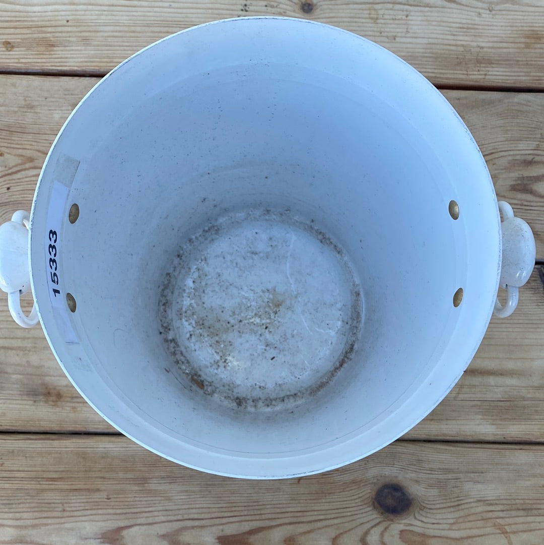 French Champagne Bucket