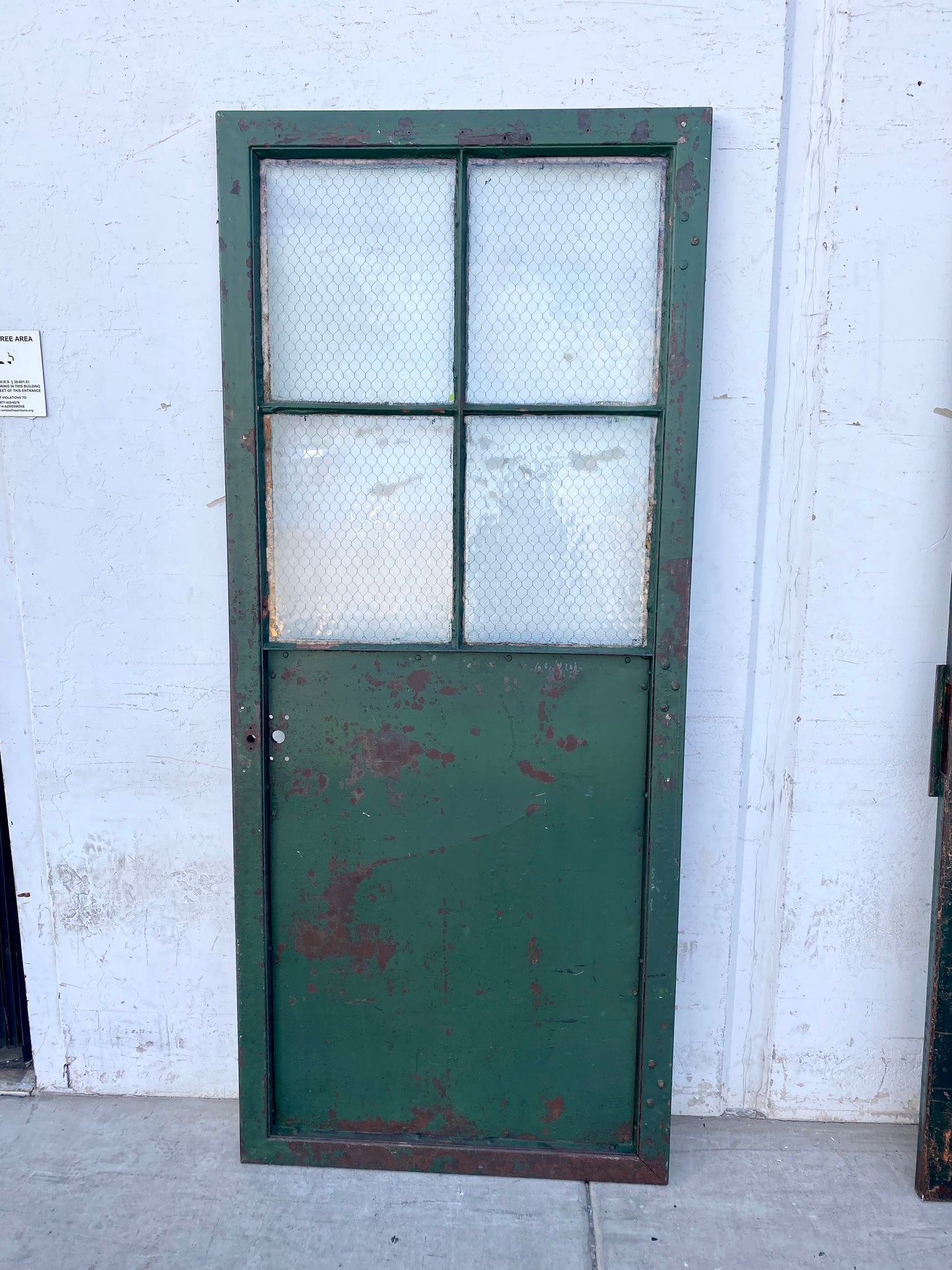 Single Metal Door with Chicken Wire Glass