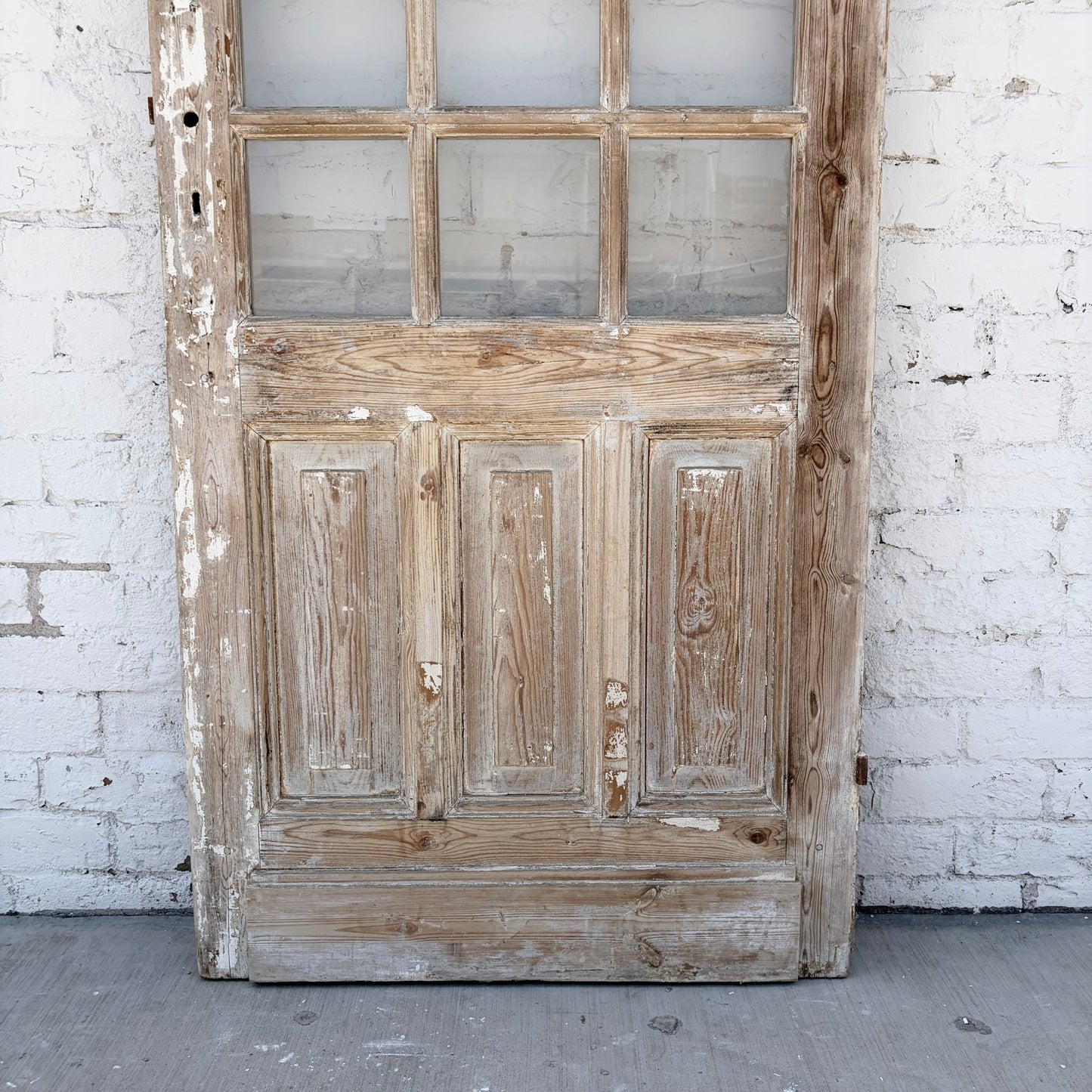 Single Door with 21 Lites