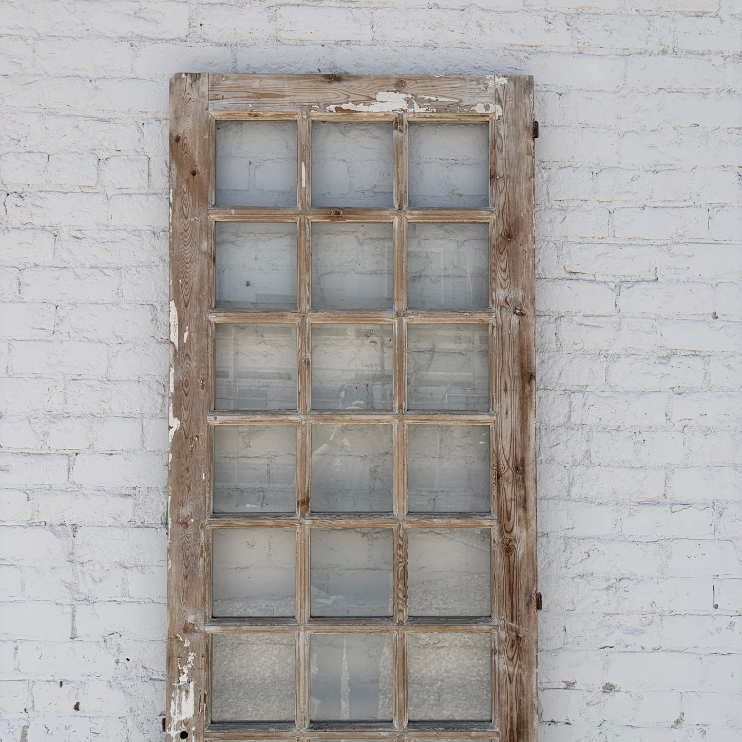 Single Door with 21 Lites