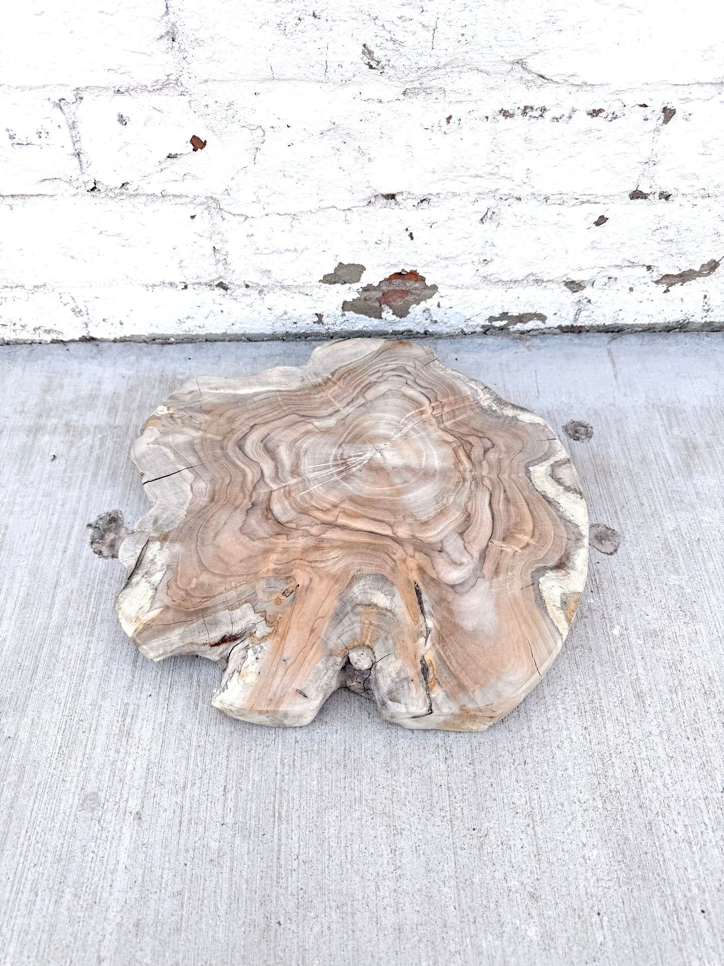 Wood Cutting Board Slice