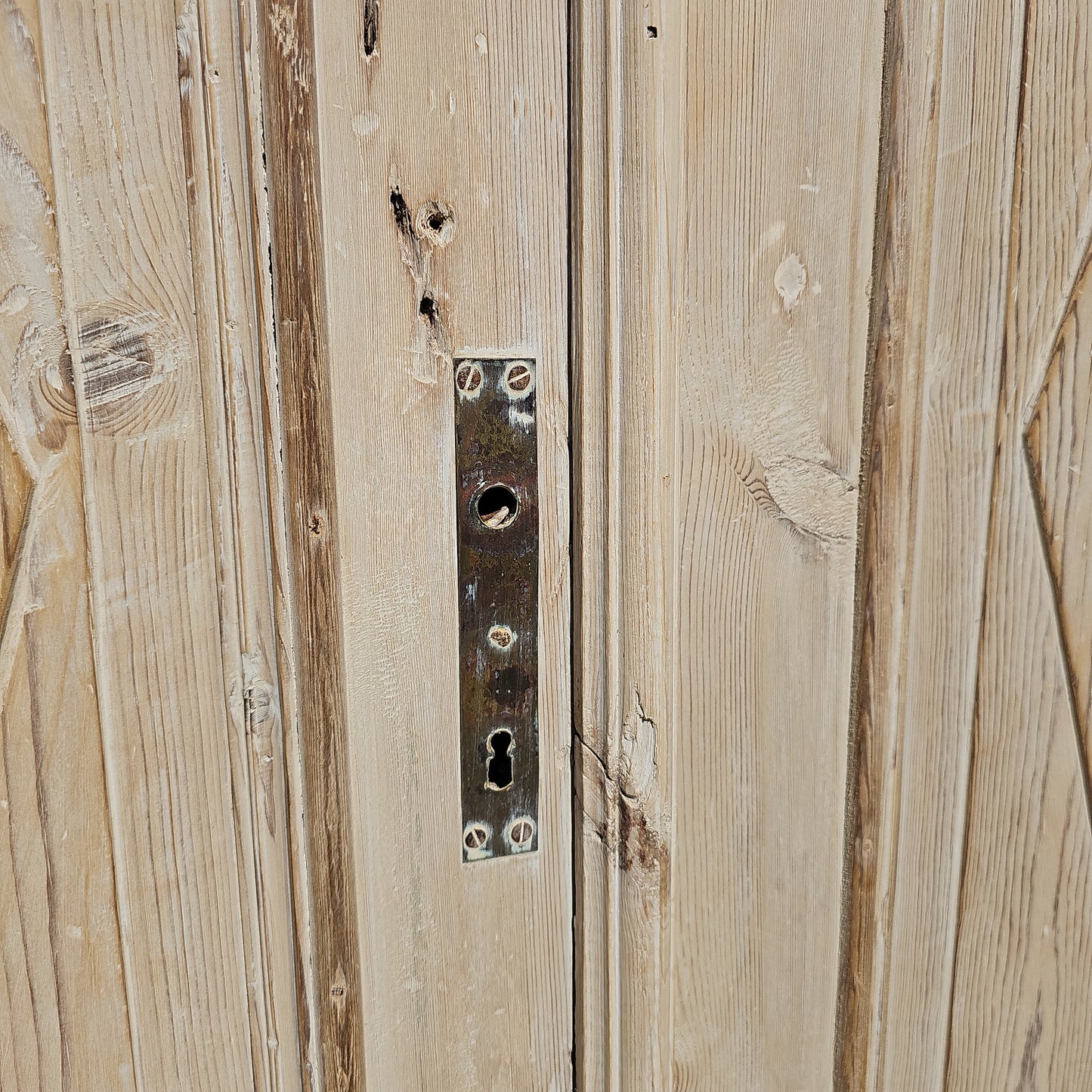 Pair of Washed Wood Panel Doors