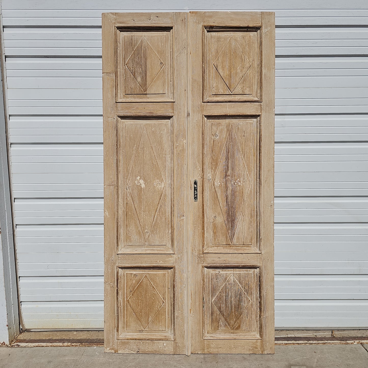 Pair of Washed Wood Panel Doors