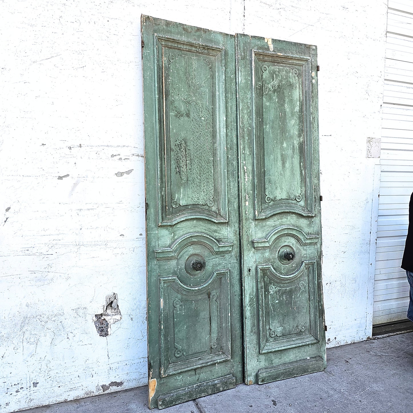 Pair of Napoleon III Doors