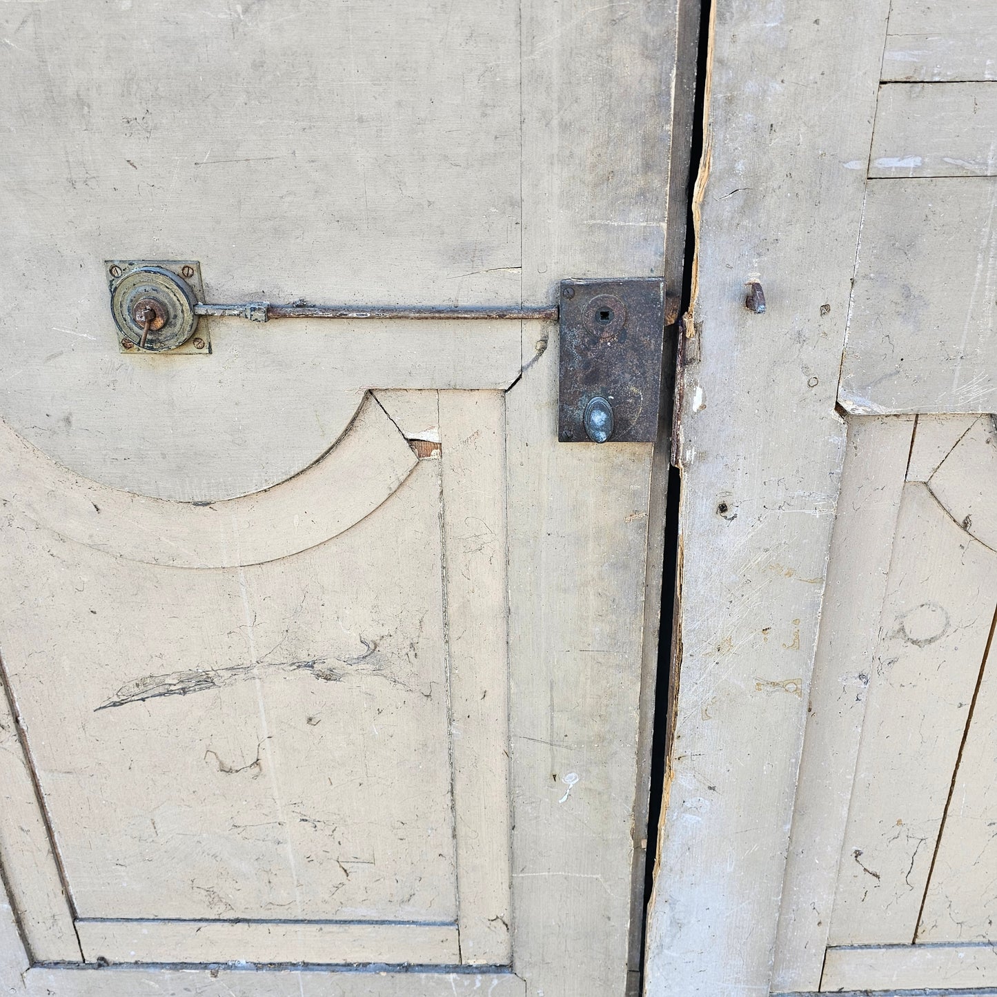 Pair of Napoleon III Doors