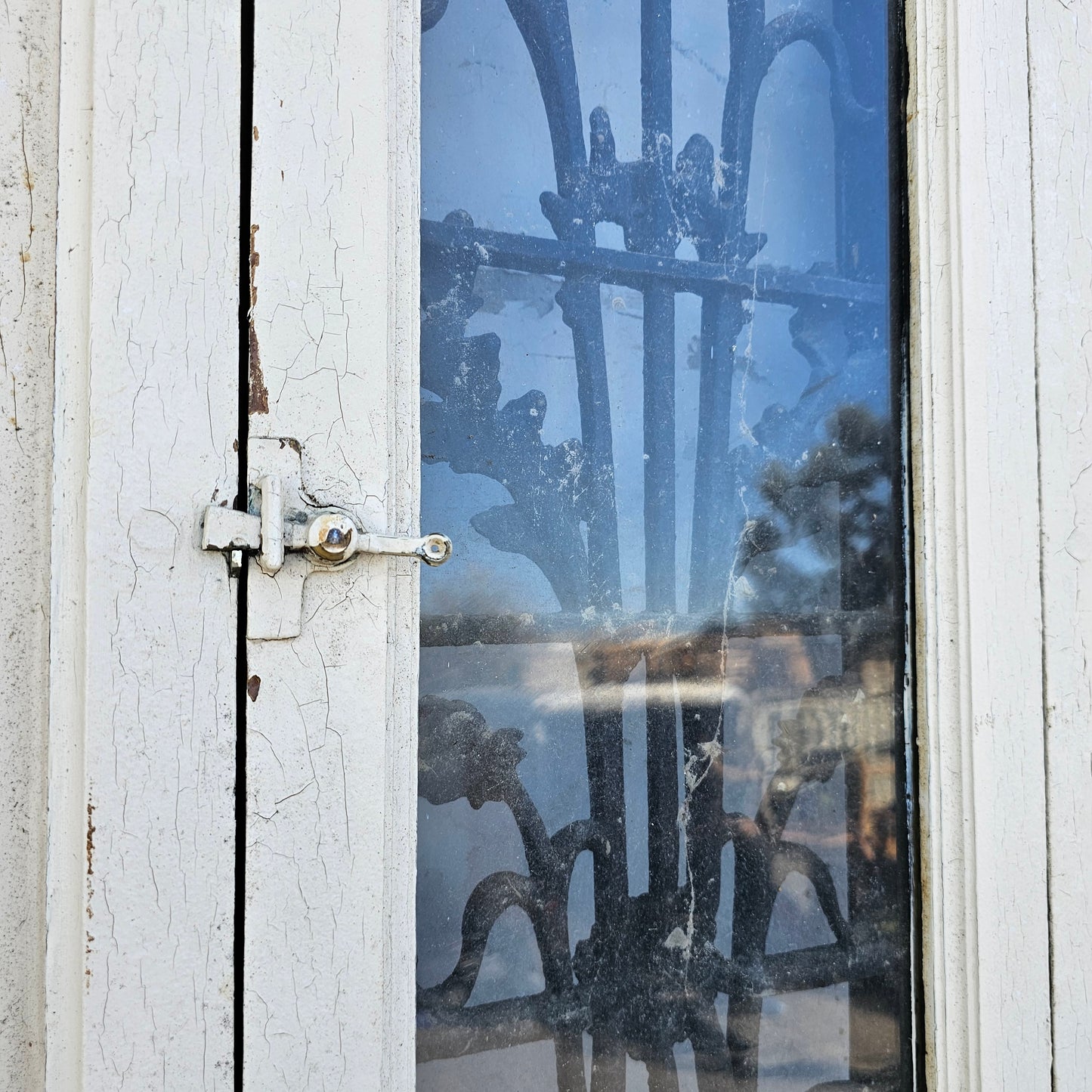 Single French Door with Iron Inserts