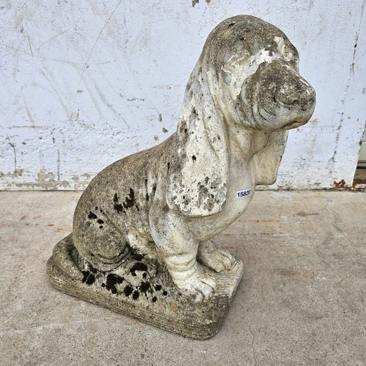 Concrete Basset Hound Dog