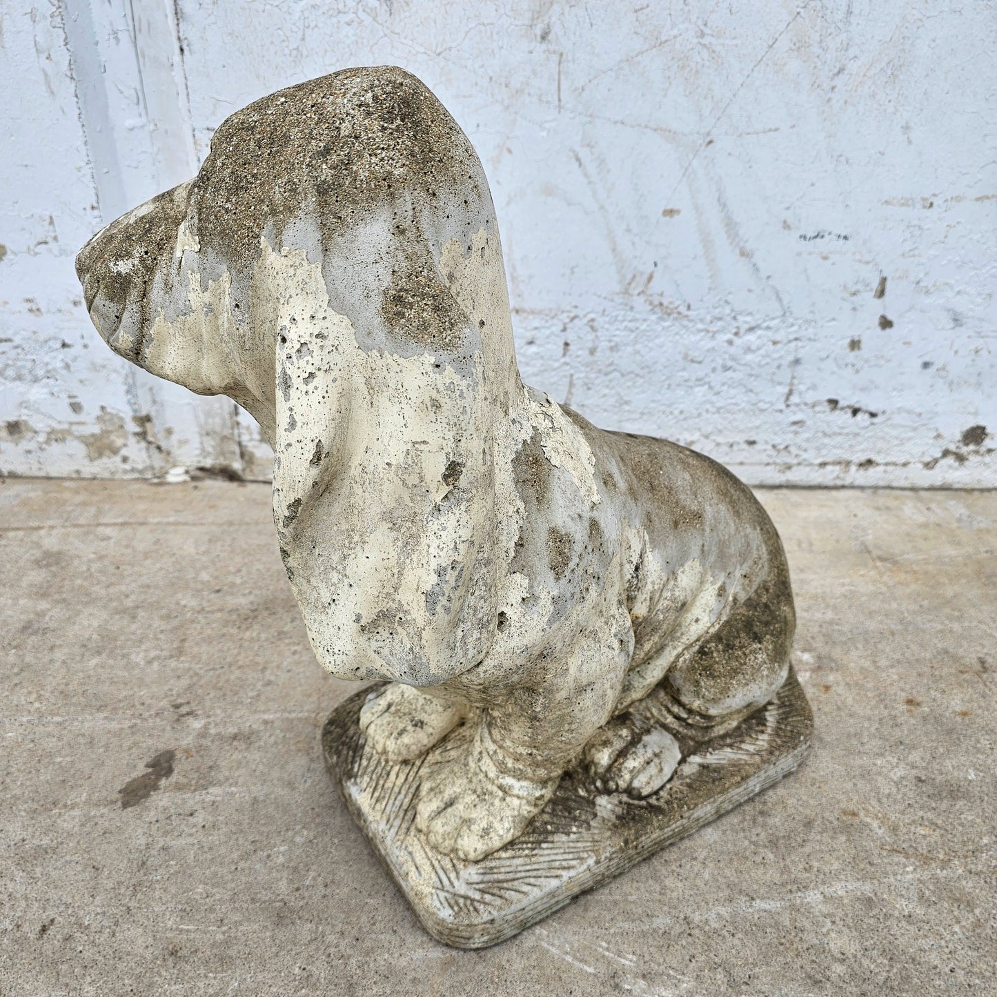 Concrete Basset Hound Dog