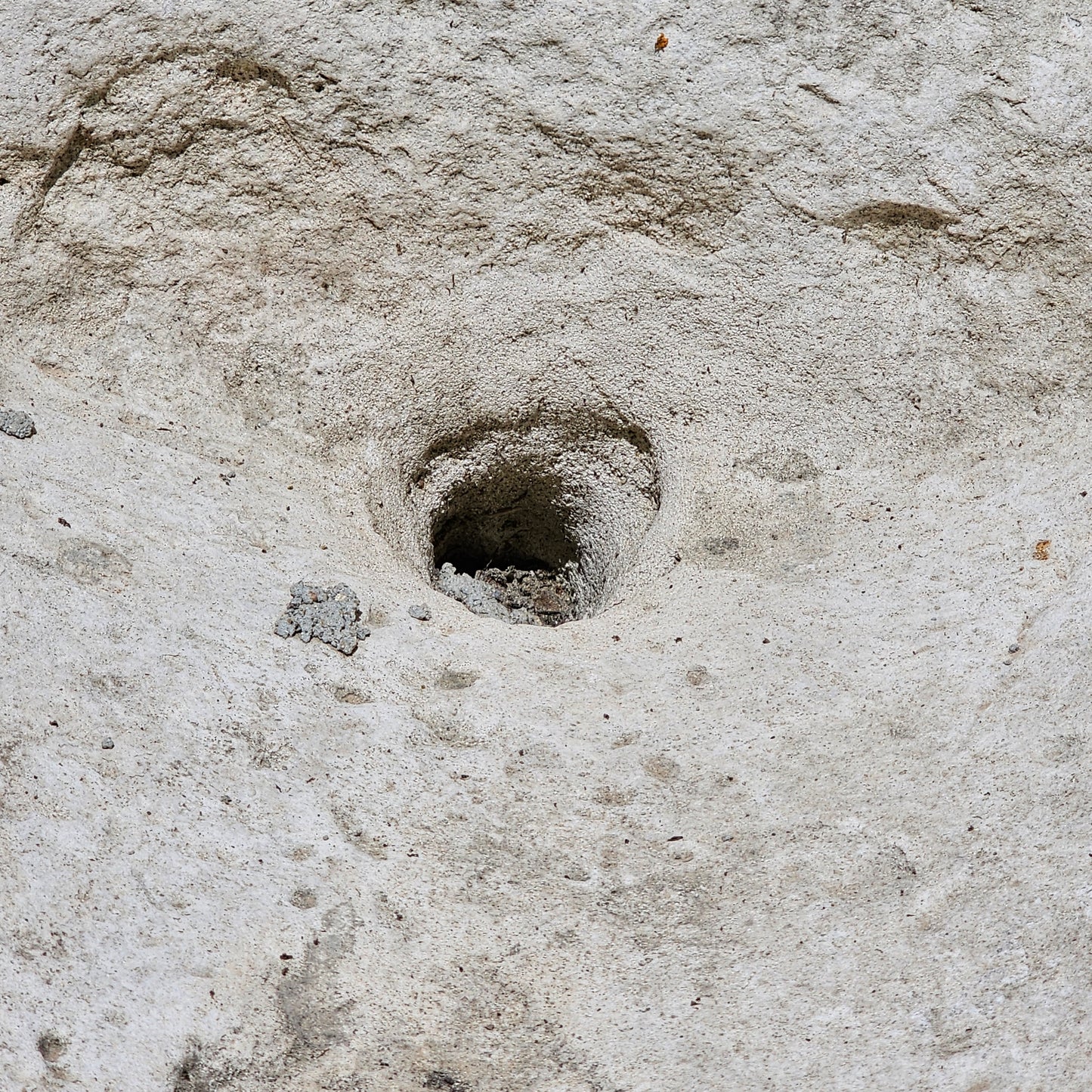 Large French Limestone Trough