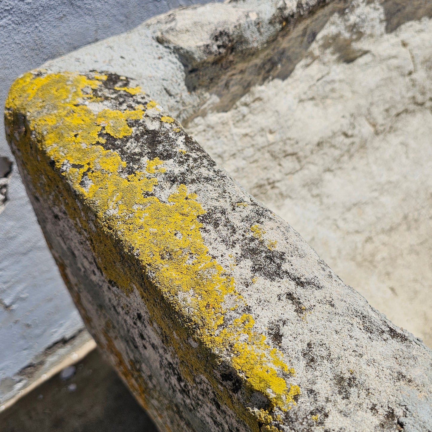 Large French Limestone Trough