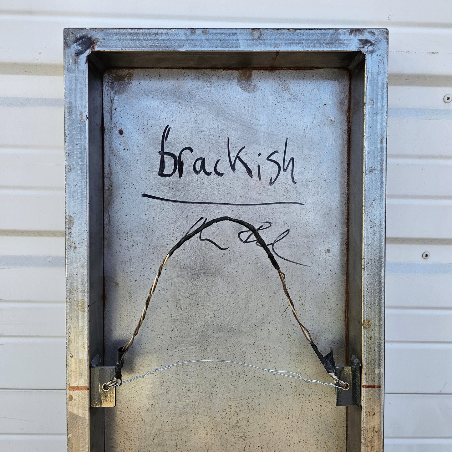 Iron Wall Art, titled "Brackish"