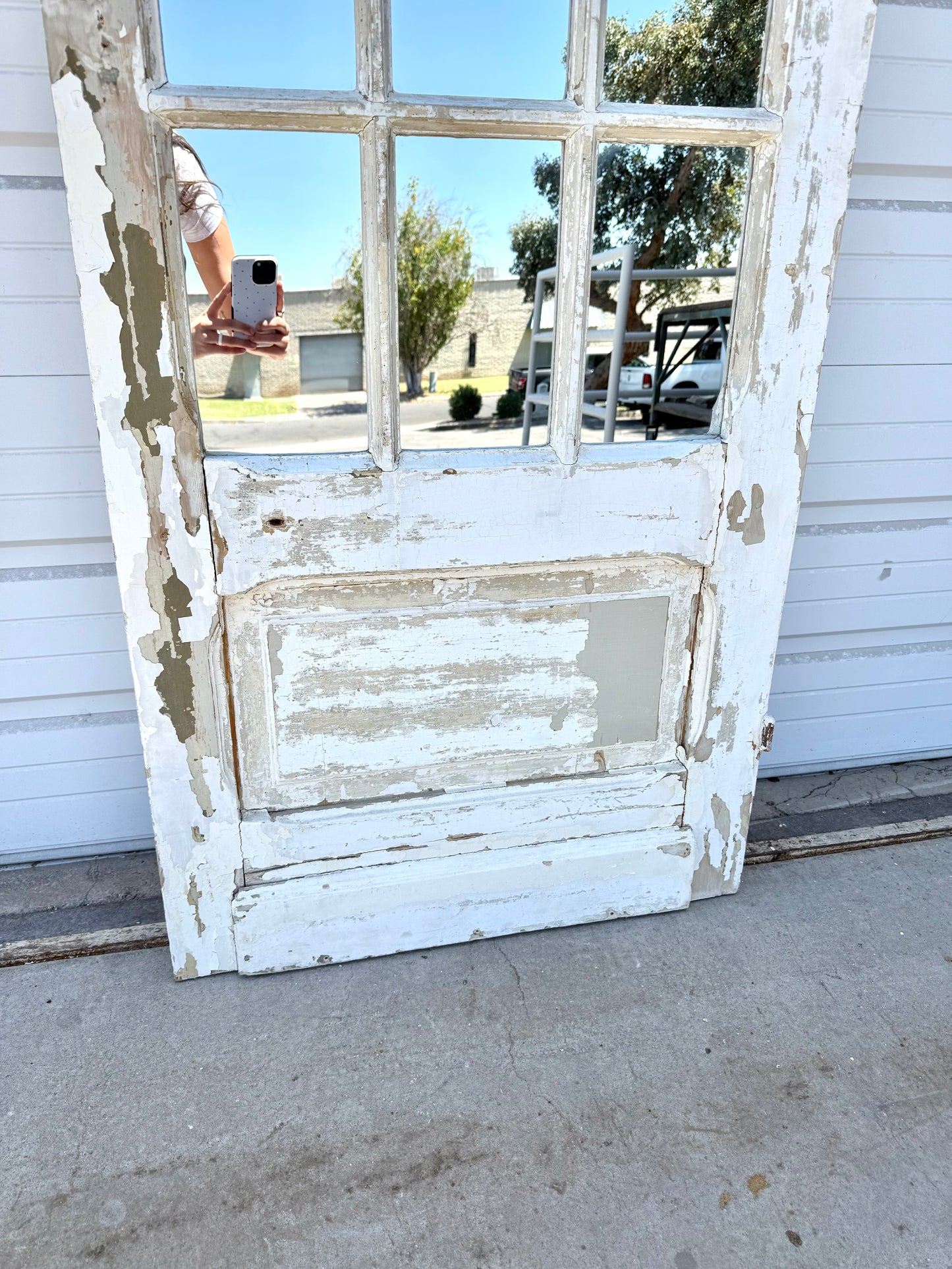 15 Pane Double-Sided Mirrored Single Antique Door
