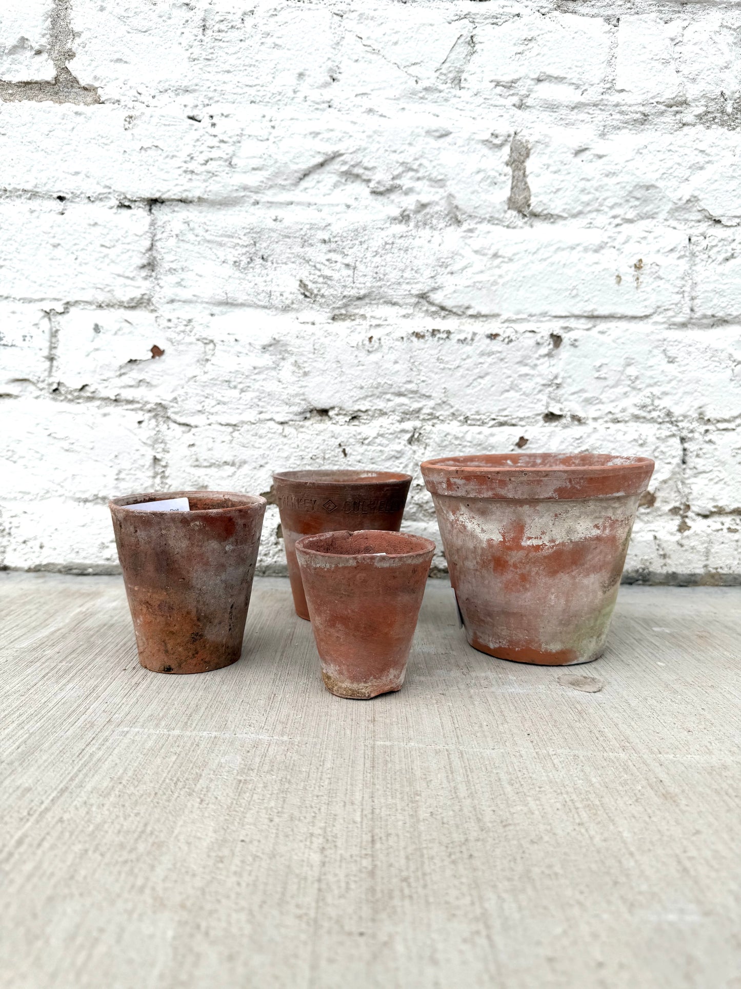 French Terra Cotta Pot
