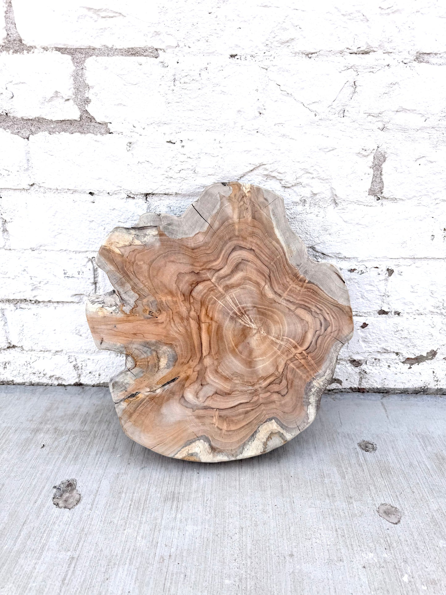 Wood Cutting Board Slice