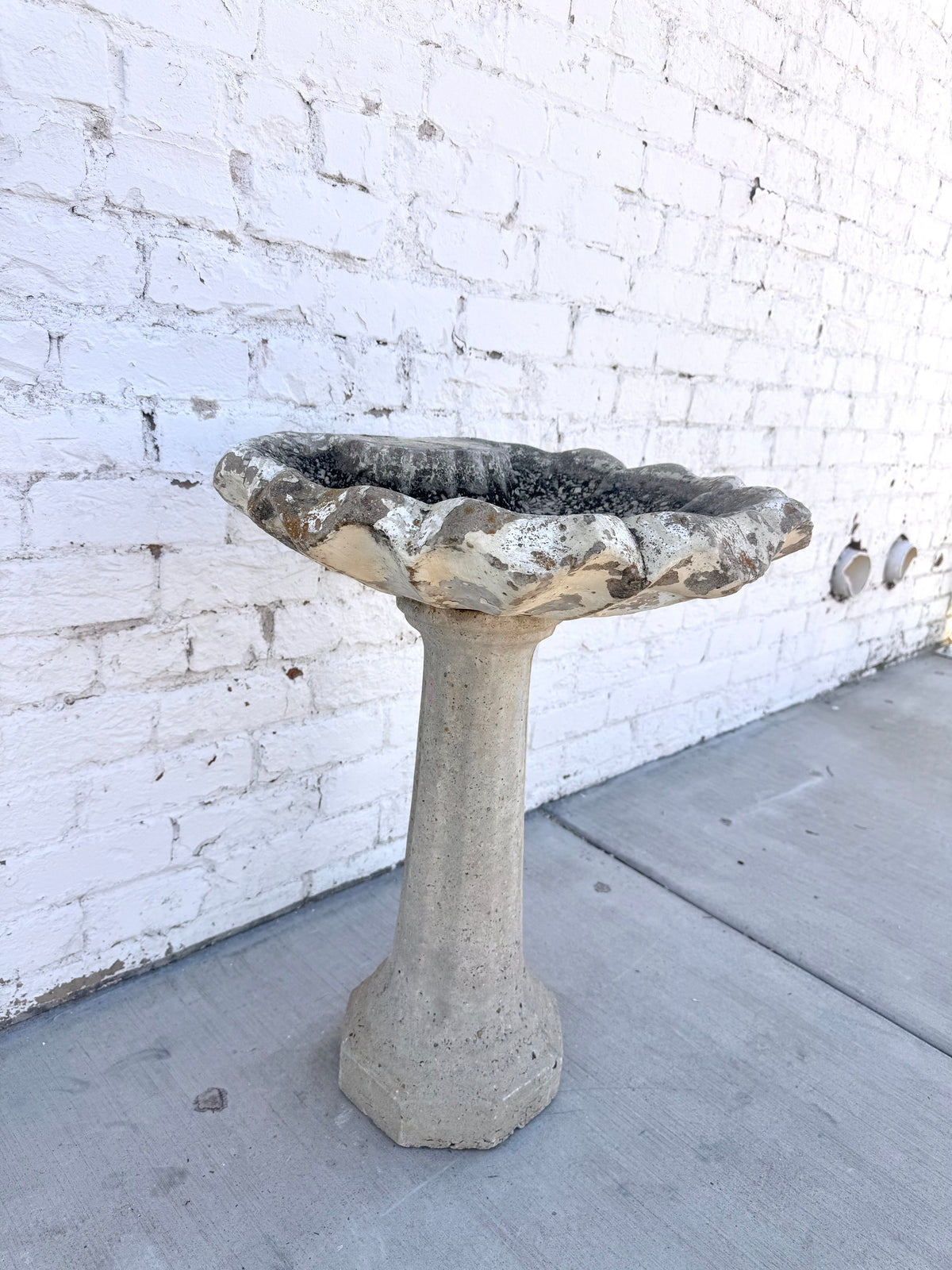 Vintage Scalloped Antique Bird Bath