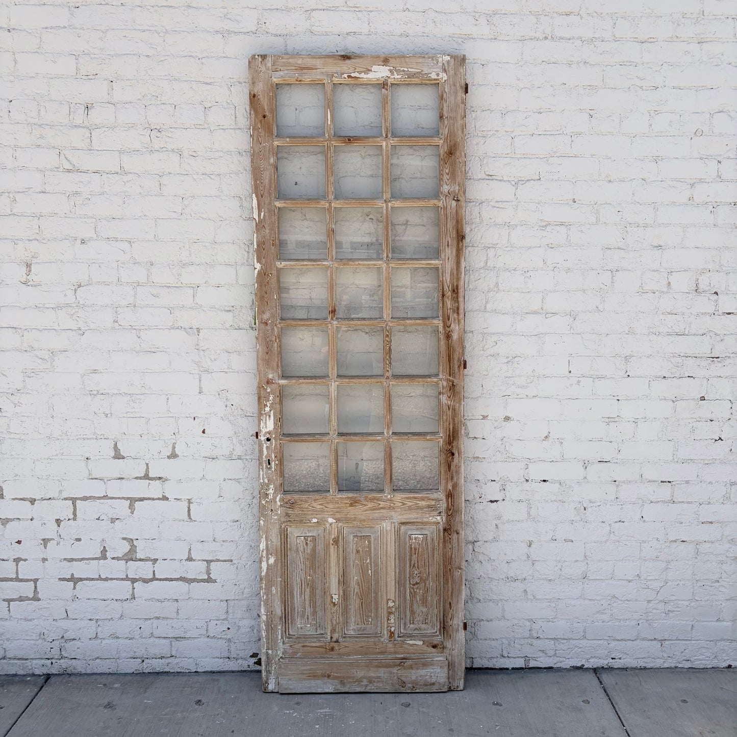 Single Door with 21 Lites