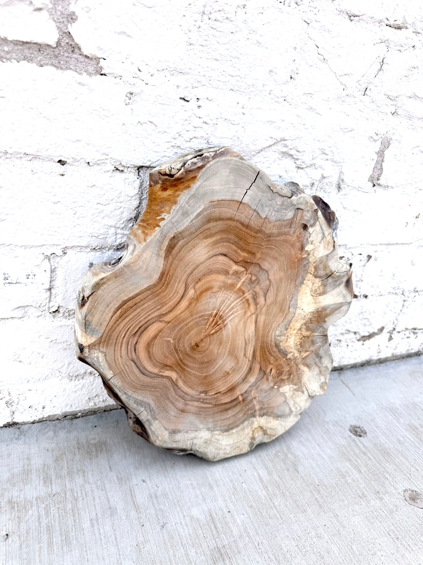 Wood Cutting Board Slice