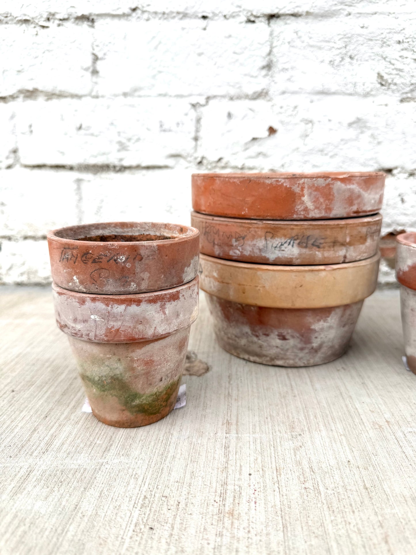 French Terra Cotta Pots