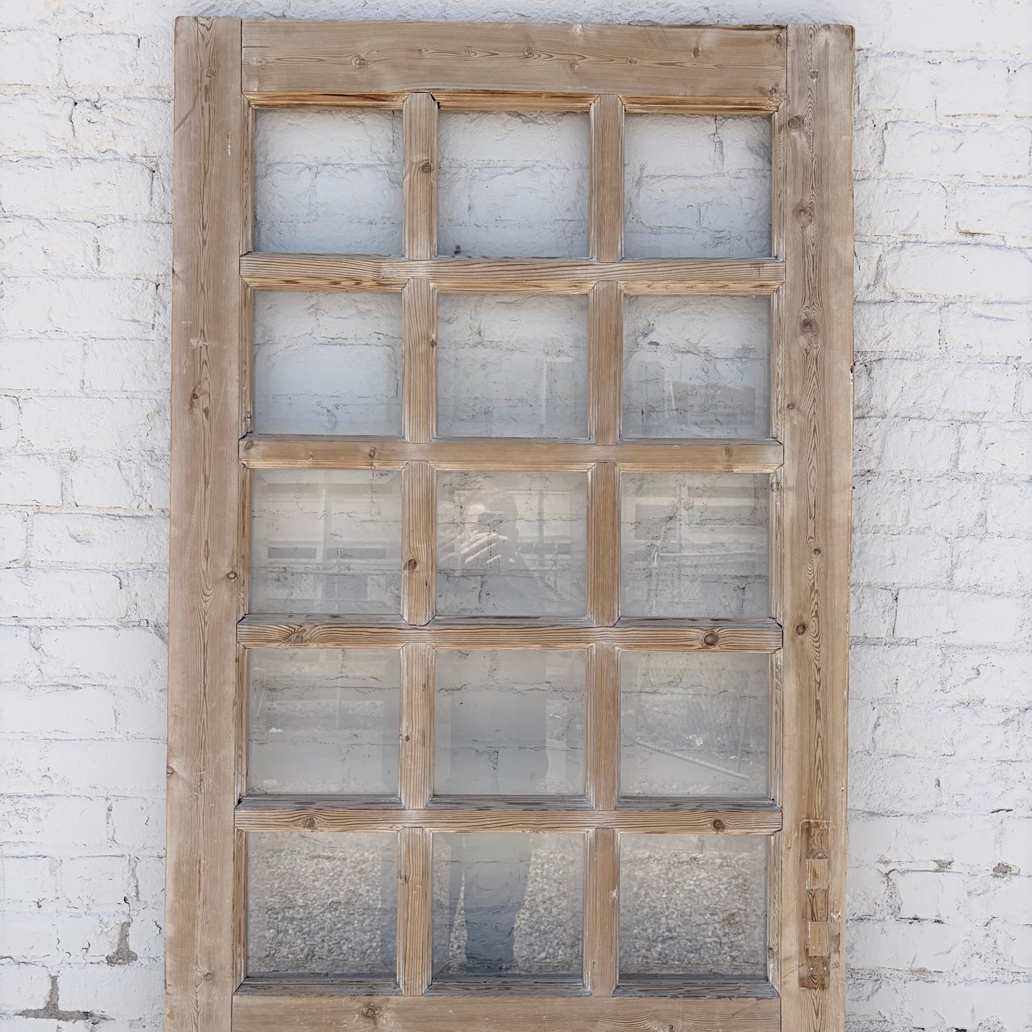 Single Door With 15 Lites