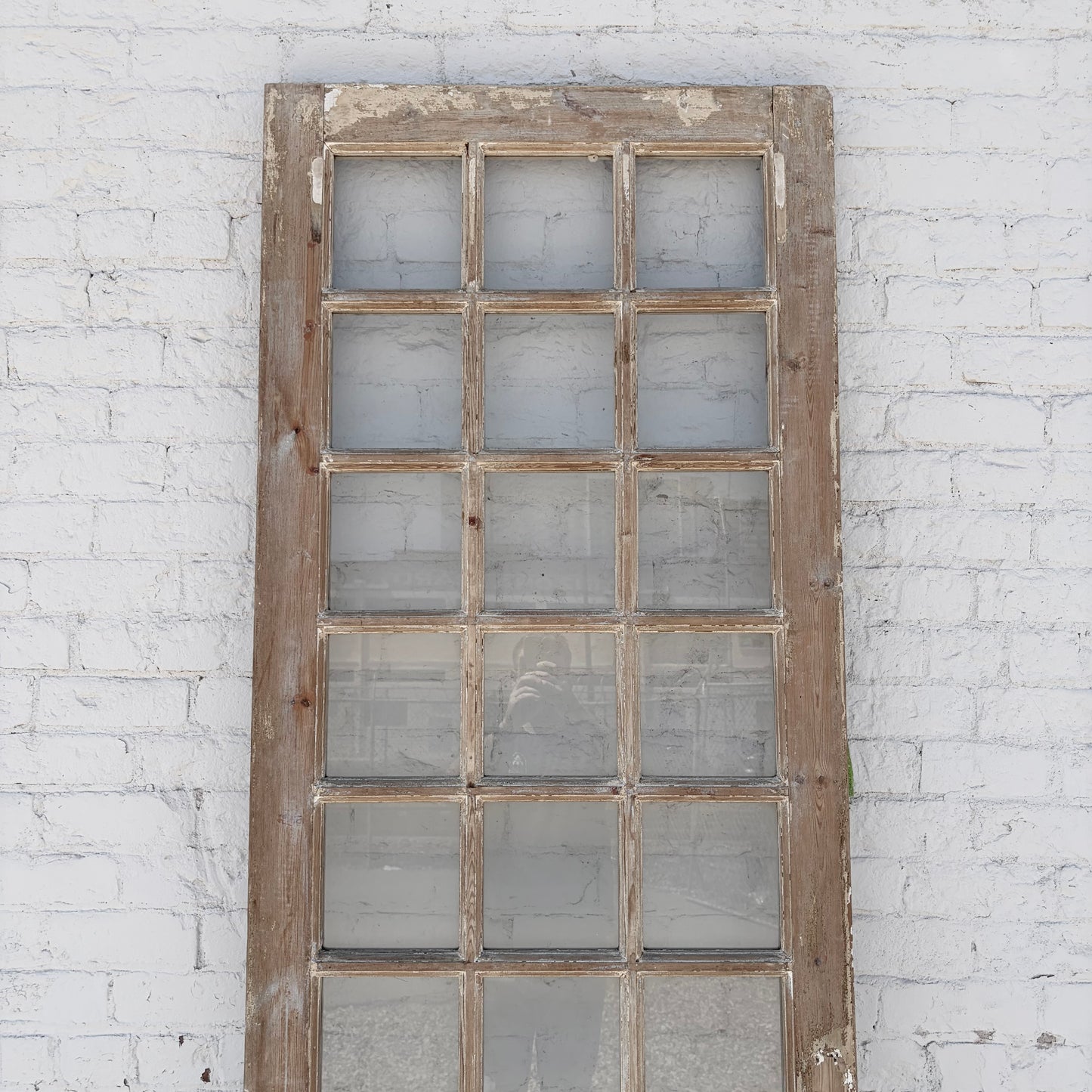 Single Door with 21 Lites