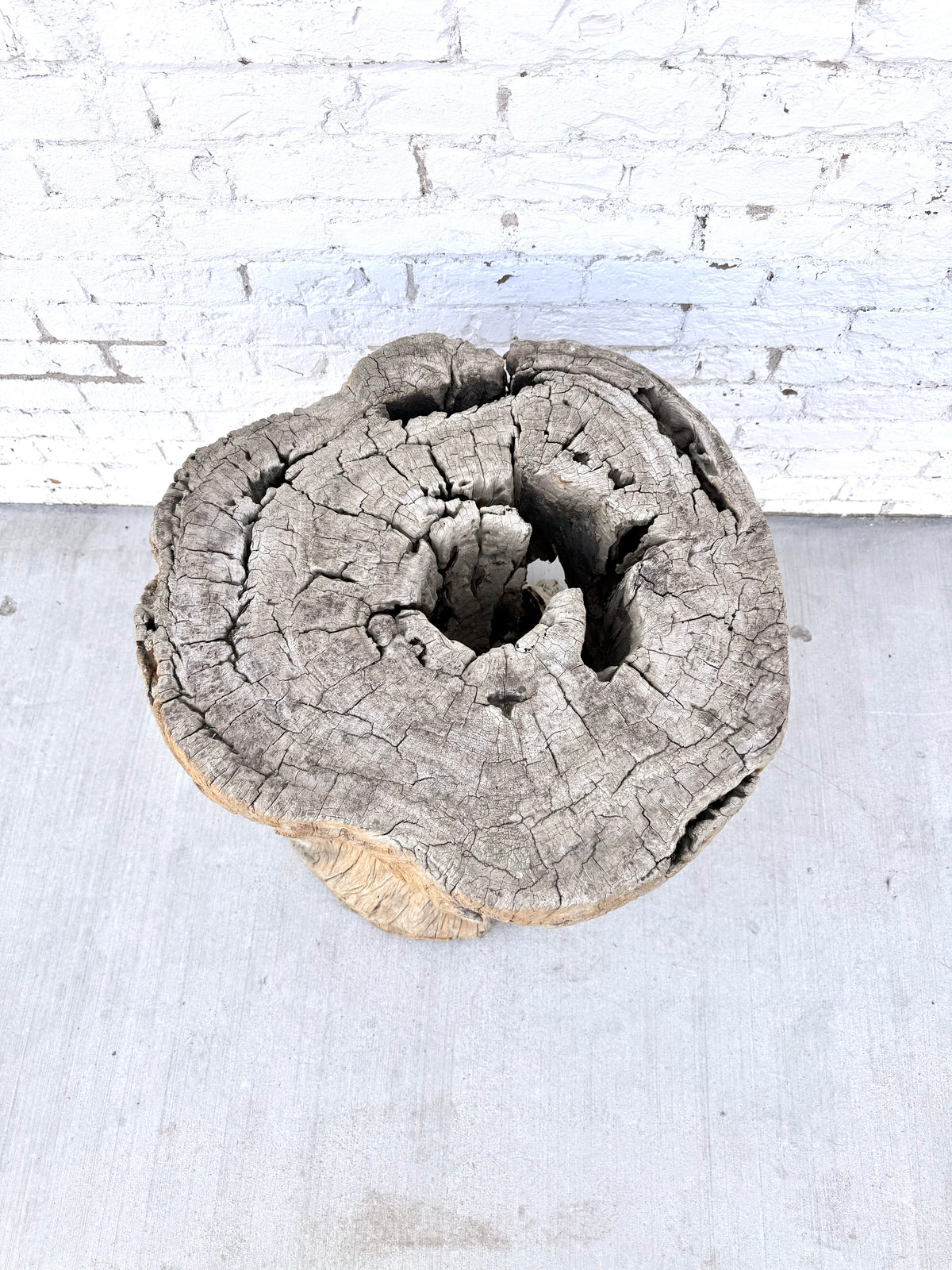 Rustic Sculptural Tree Trunk