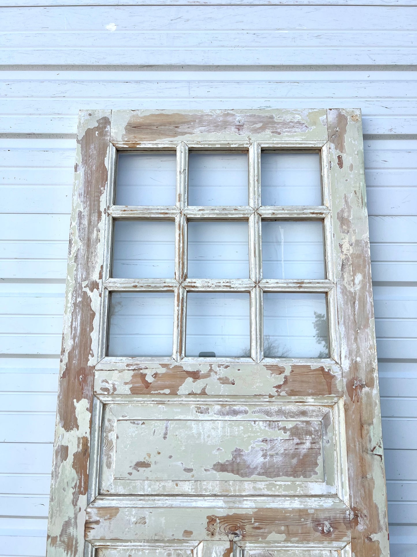 Single Painted French Door w/9 Glass Lites