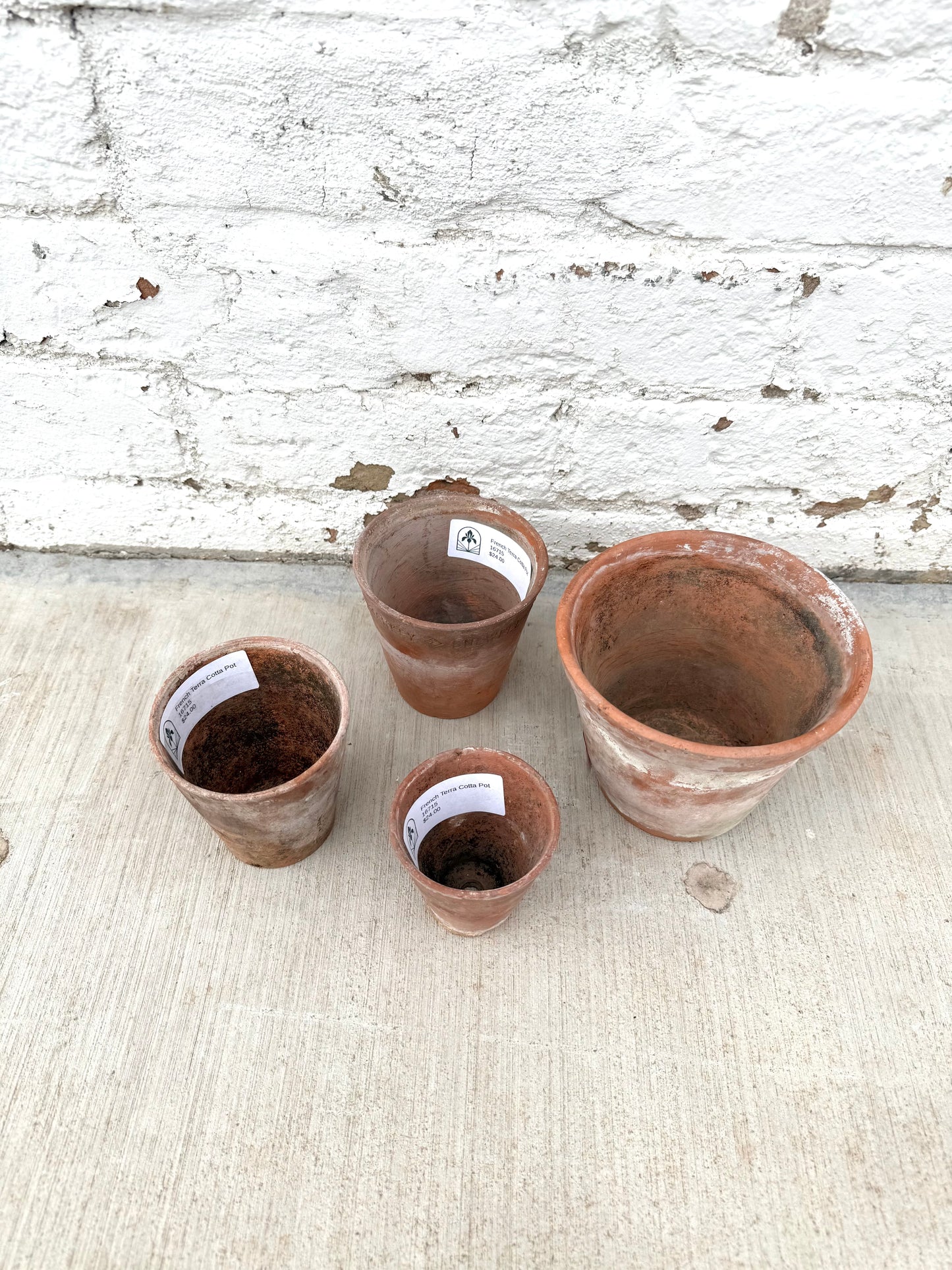French Terra Cotta Pot