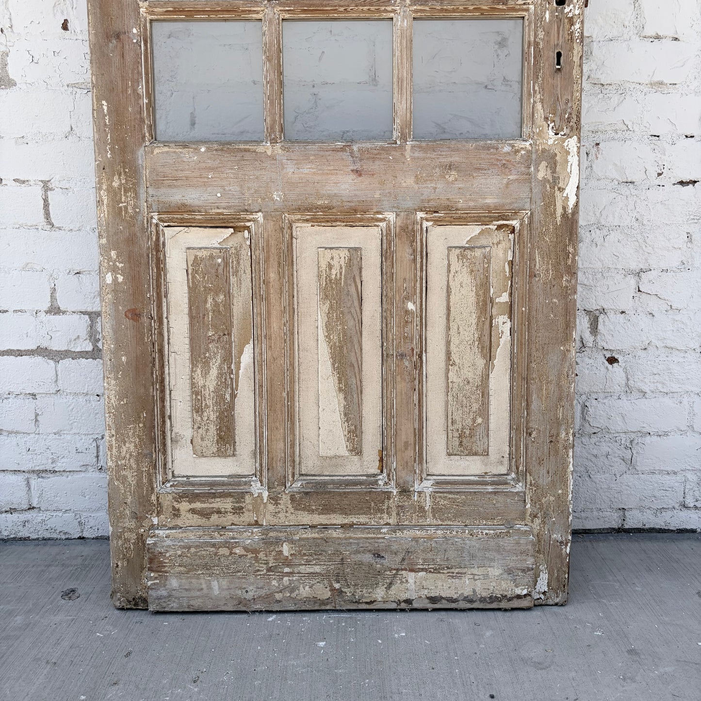 Single Door with 21 Lites