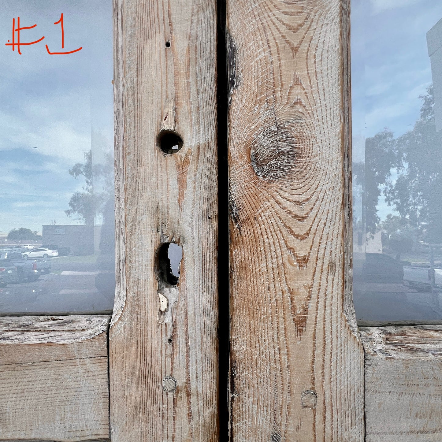 Set of Arched Washed Wood Doors w/24 Lites