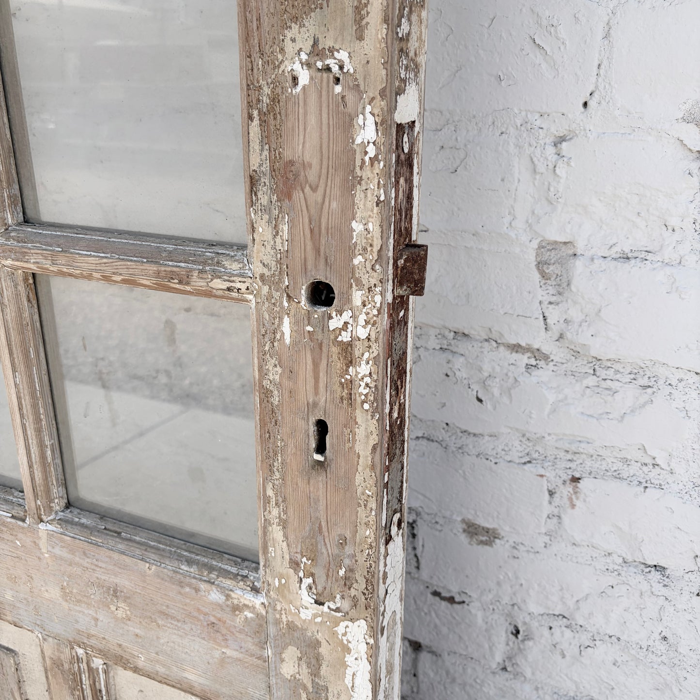 Single Door with 21 Lites