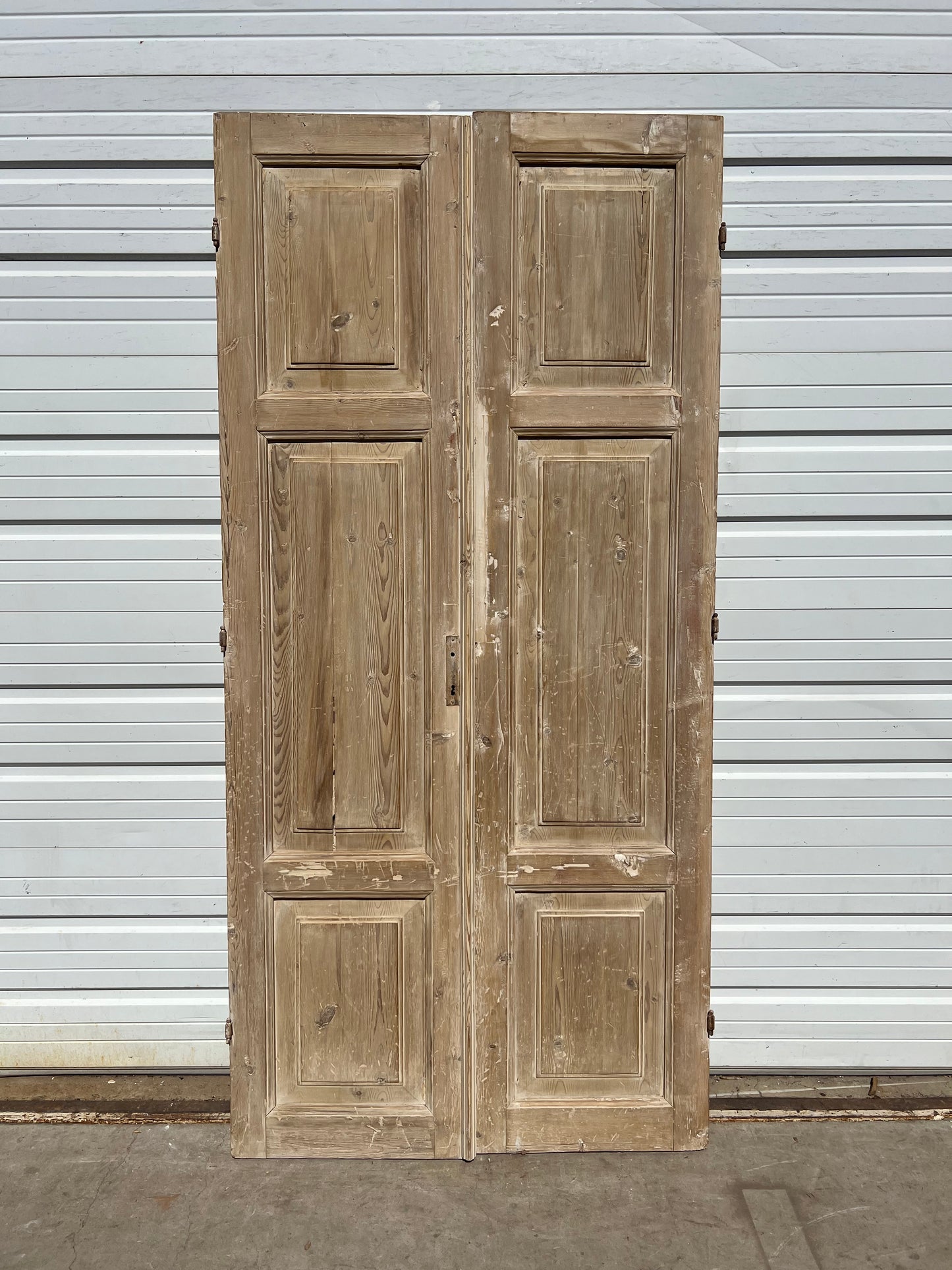 Pair of Washed Wood Panel Doors