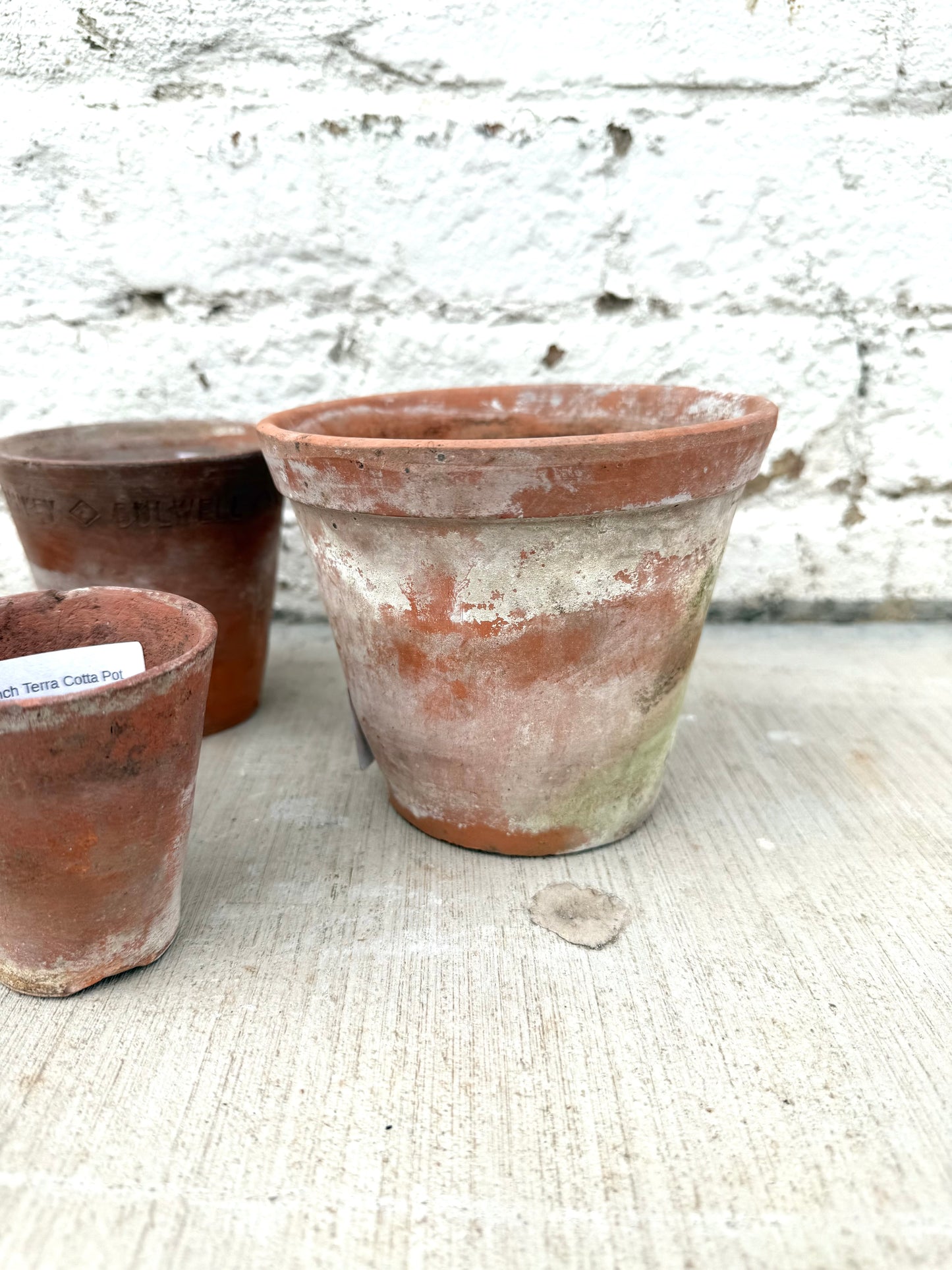 French Terra Cotta Pot