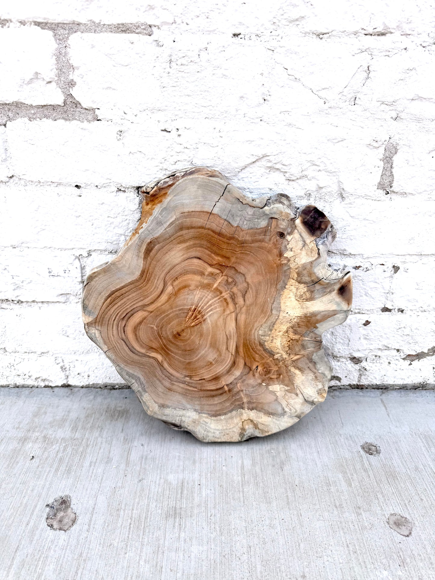 Wood Cutting Board Slice