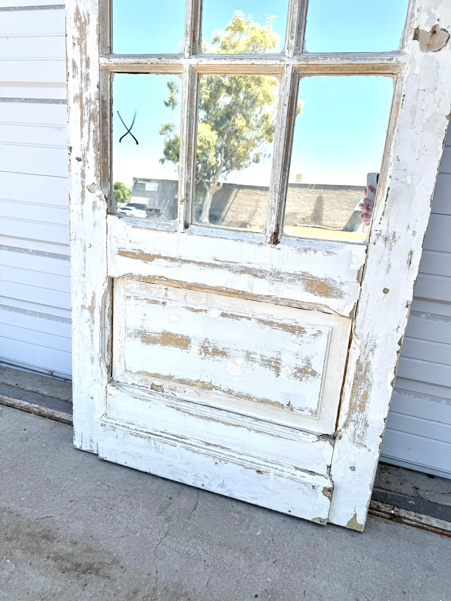 15 Pane Double-Sided Mirrored Single Antique Door