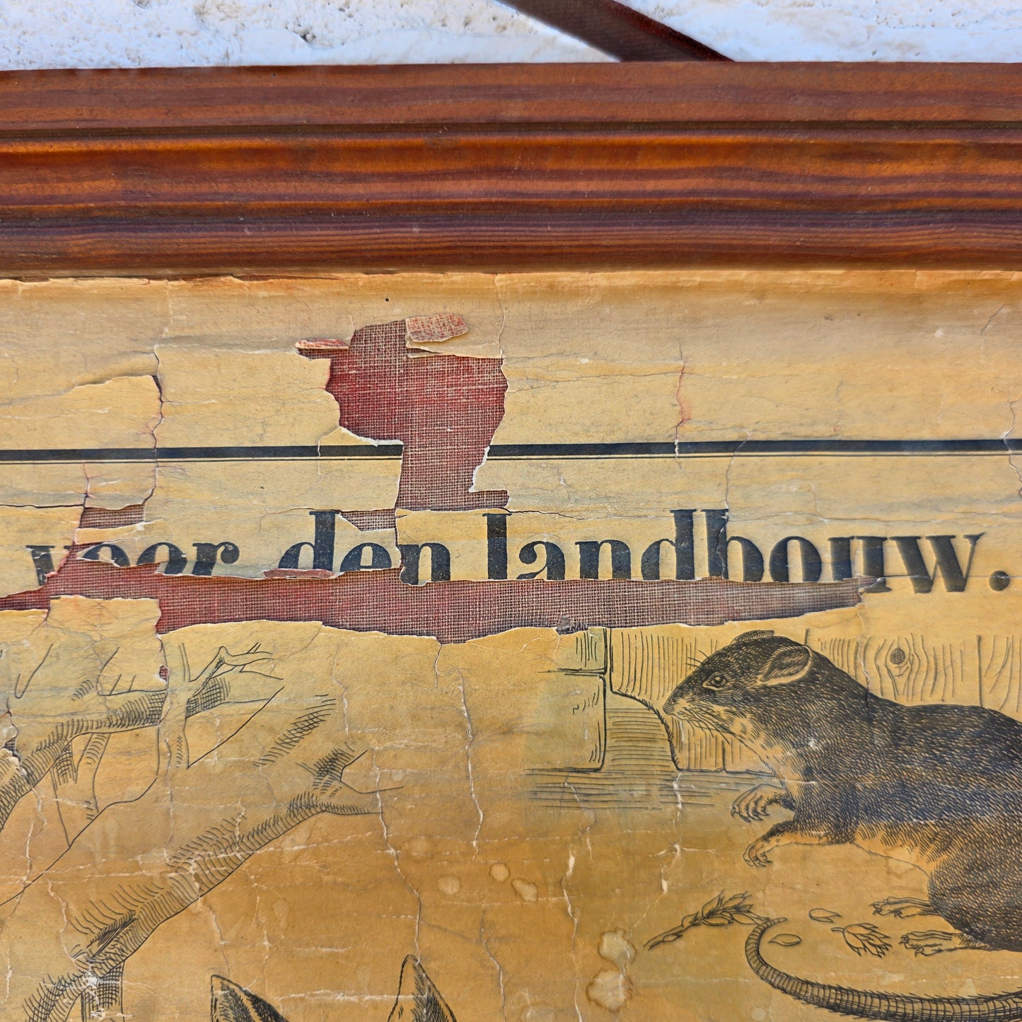 Antique Dutch Animal/Agriculture School Chart