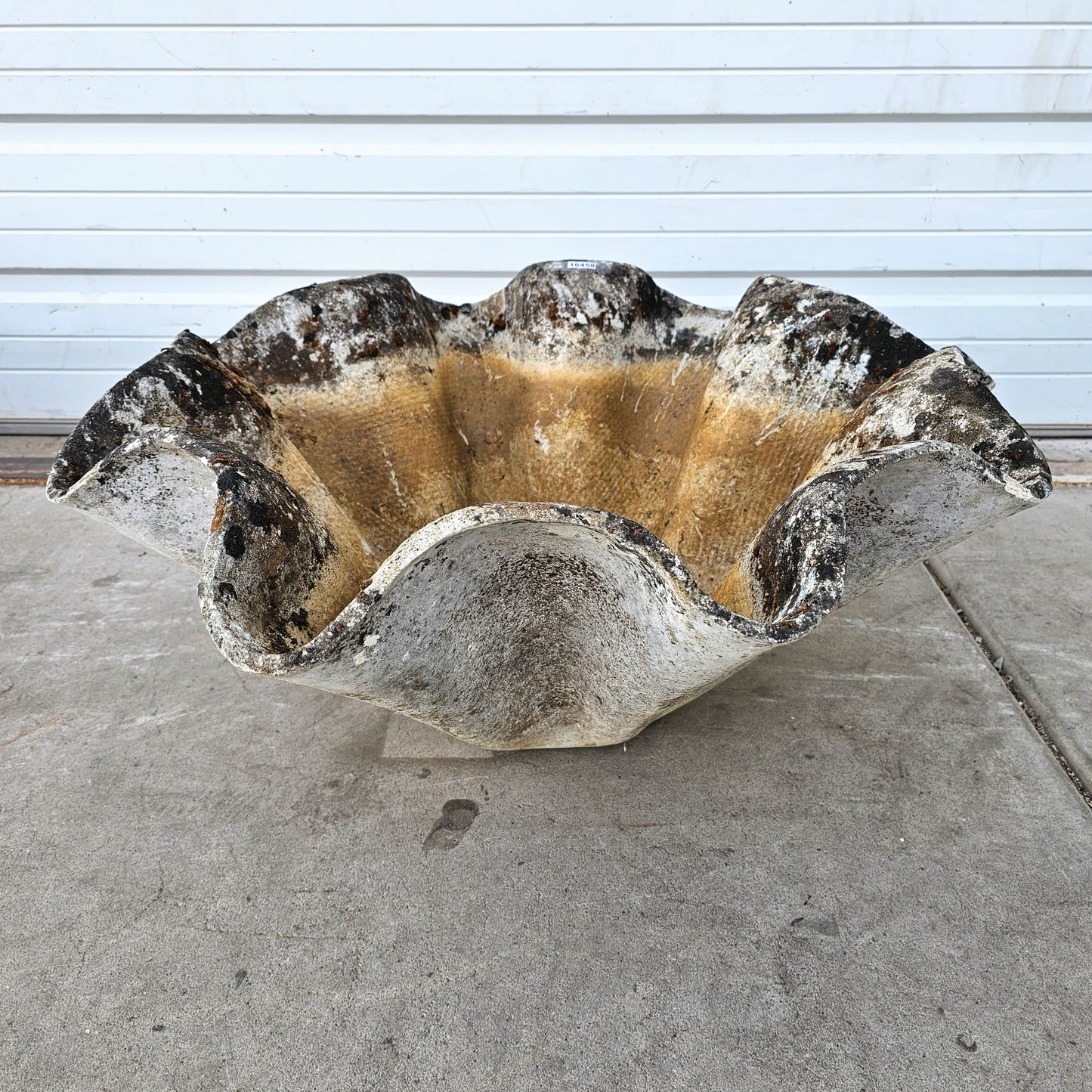 Large Willy Guhl Organic Planter