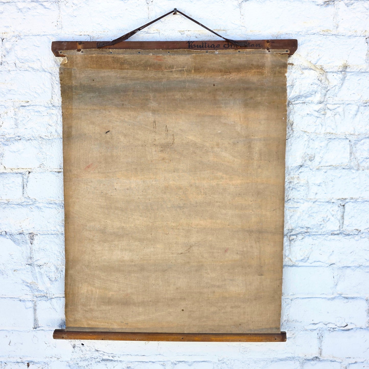 Antique Dutch Insect/Agriculture School Chart